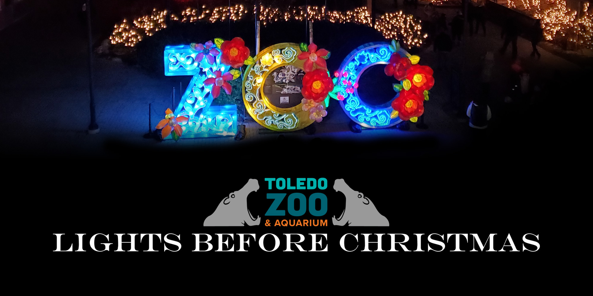 Toledo Zoo Lights Before Christmas